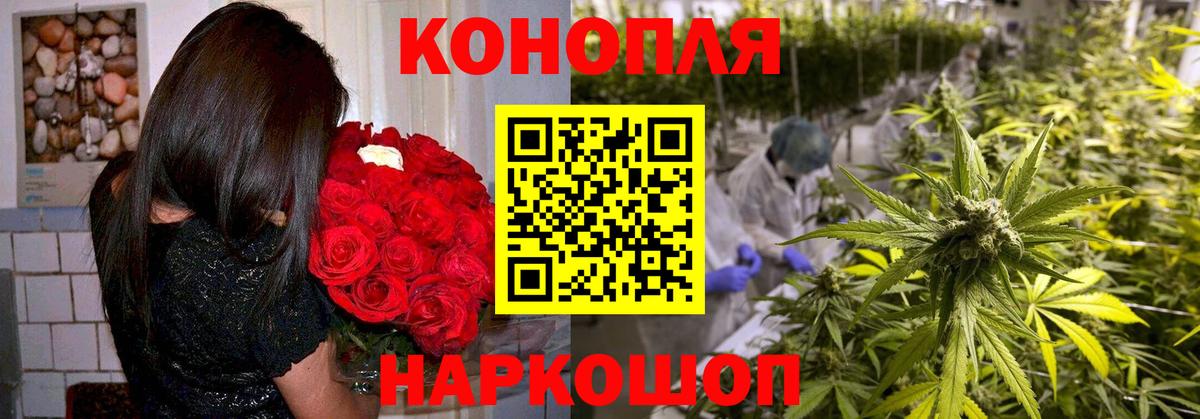 Марихуана семена  Конопля OG Kush  Бошки Шишки планчик  Вход с VPN  Мурманск 